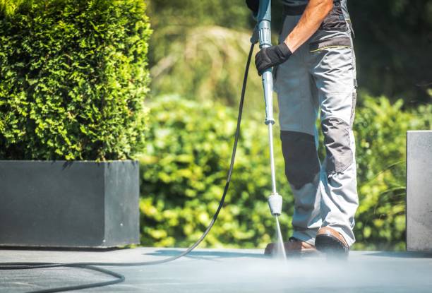Best Roof Washing  in Brewster Heights, NY