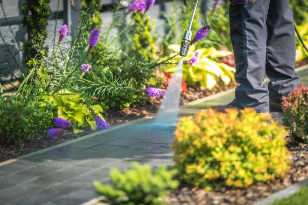 Best Spring Cleaning  in Brewster Heights, NY