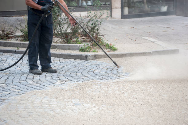 Best Driveway Pressure Washing  in Brewster Heights, NY